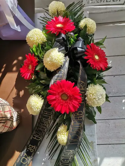 Suza od crvenih gerbera i belih krizantema sa trakom