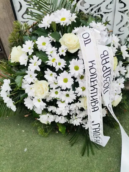 Venac od belih krizantema sa belom trakom