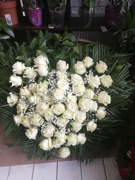 Venac od belih ruža u obliku srca