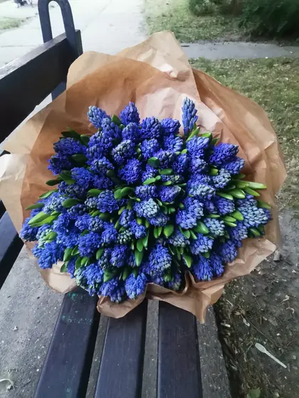 Buket plavih zumbula u kraft papiru