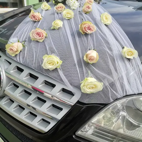 Krem ruže i beli til na haubi automobila