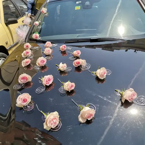 Ružičaste ruže na crnoj haubi automobila